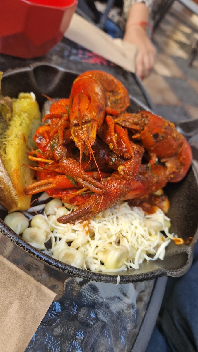 Cipriana - Cocina Libre-4